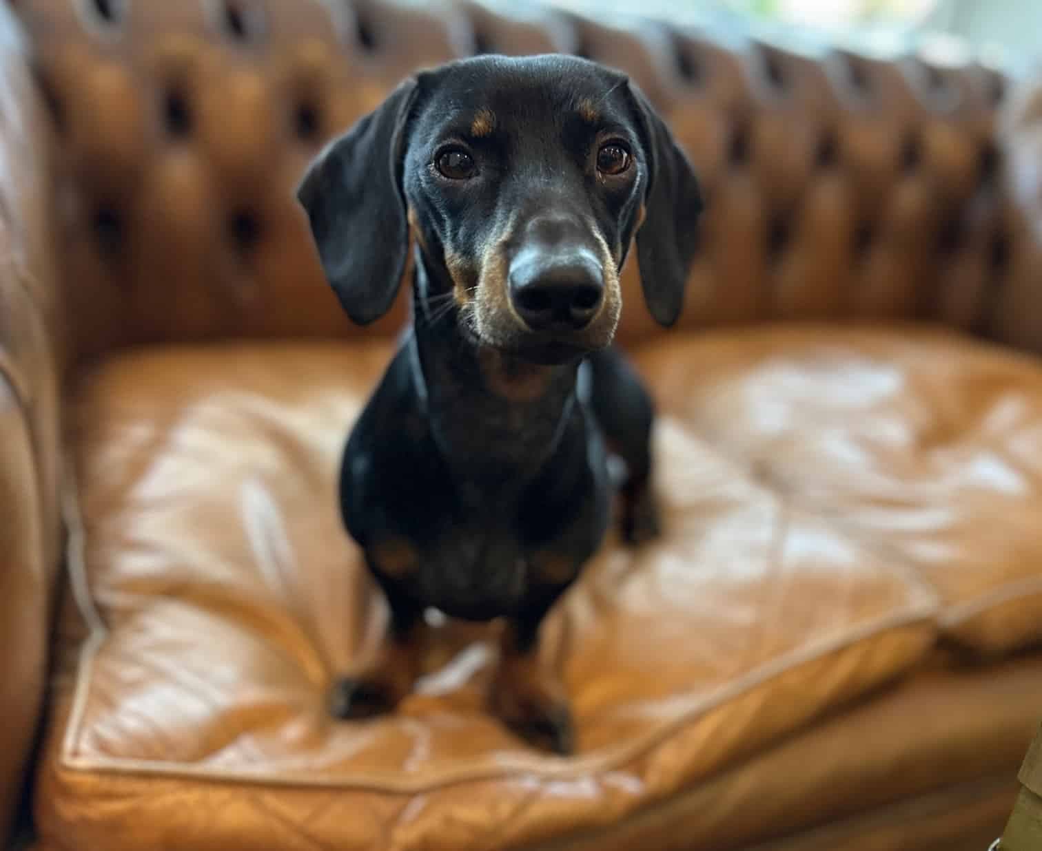  Frankie M